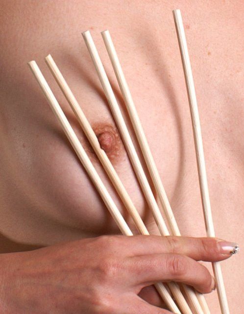 5er-Pack Cane unbehandelt - geschält, Ø ca. 5mm, Länge ca. 60cm